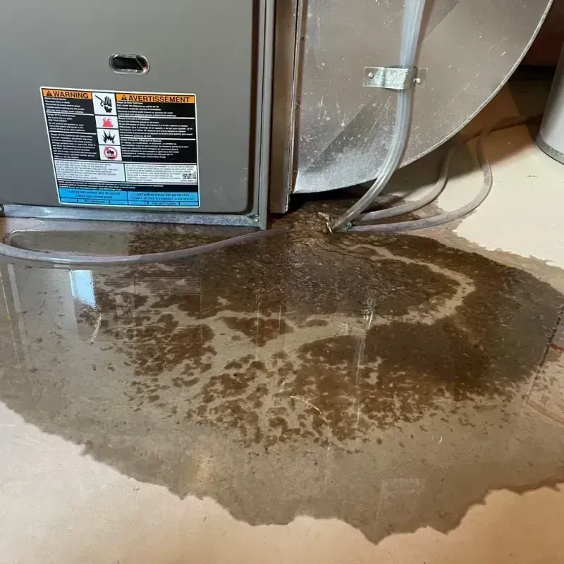 Appliance Leak Cleanup in Columbia, IL